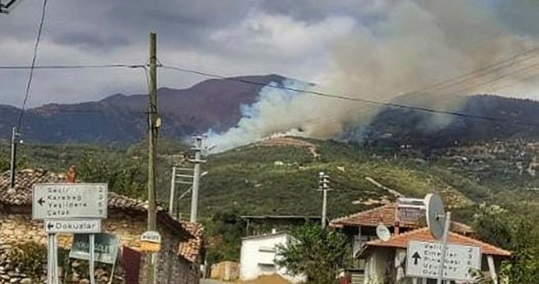 İzmir’de çıkan orman yangınları kontrol altına alındı