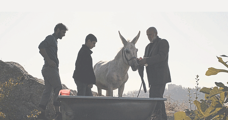 Altın Kedi’nin finalistleri belli oldu
