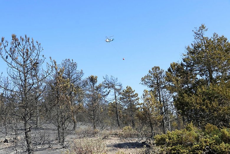 Tavas’taki yangın kontrol altına alındı
