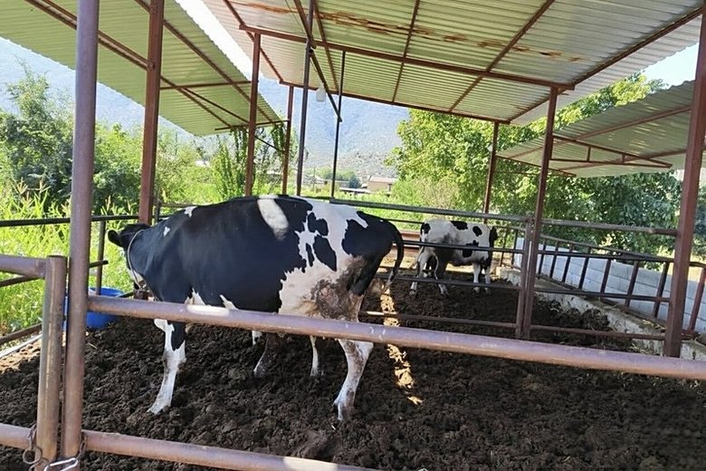 Muğla’da alarm! 11 mahalle karantinaya alındı