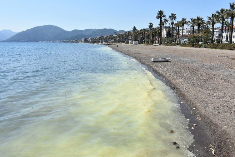 Marmaris’te denizin kıyısı sarıya boyadı