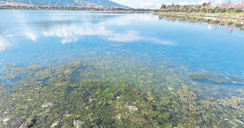 Çakalburnu Dalyanı için ‘bataklık’ uyarısı