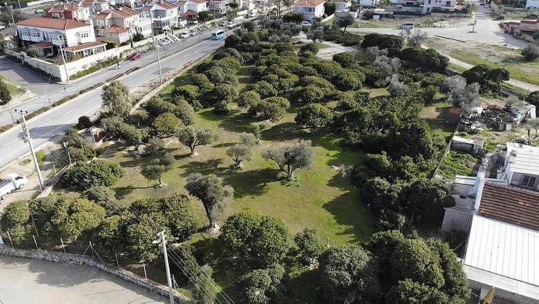 Çeşmeli sakız üreticileri, Yunanistan’la rekabet etmek için kolları sıvıyor