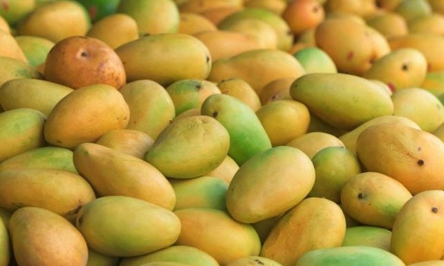 Mango neye iyi gelir? Nasıl yenir?