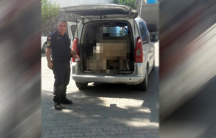 İzmir’de akılalmaz olay! Hepsi bagajdan çıktı