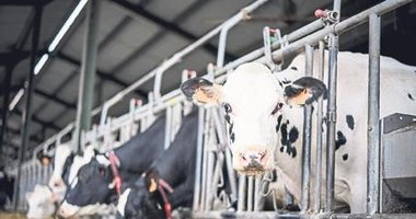 Çiğ Süt Eylem Planı ihracatı artıracak