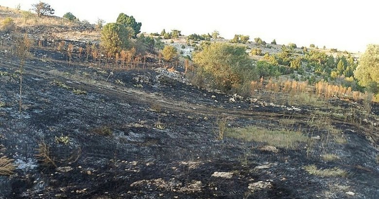 Kütahya’daki anız yangını söndürüldü