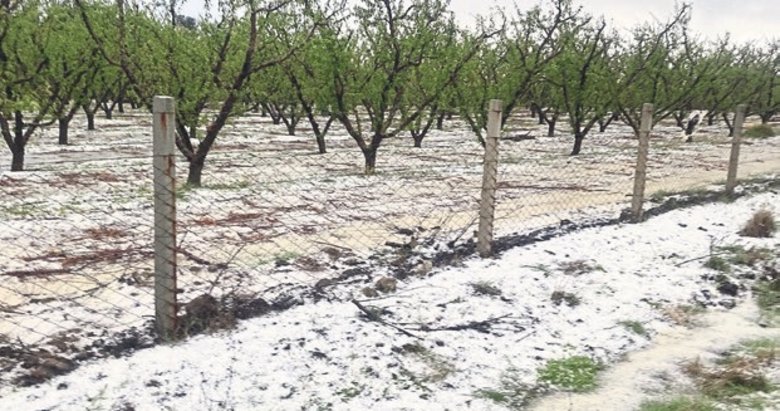 Çanakkale’de meyve bahçelerini dolu vurdu