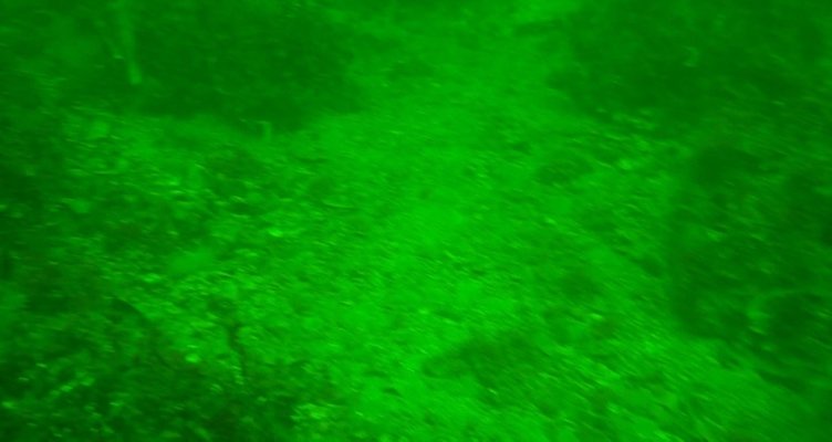 Müsilaj kabusu geri dönüyor mu? Uzmanı değerlendirdi