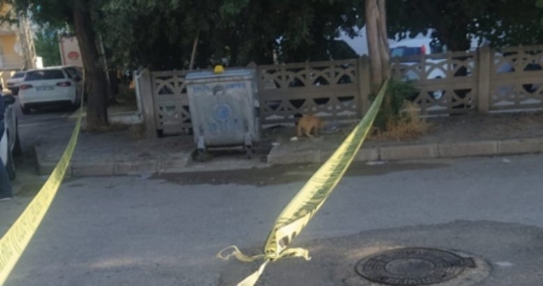 Manisa’da kan donduran olay! Çöpte yeni doğmuş bebek cesedi buldu