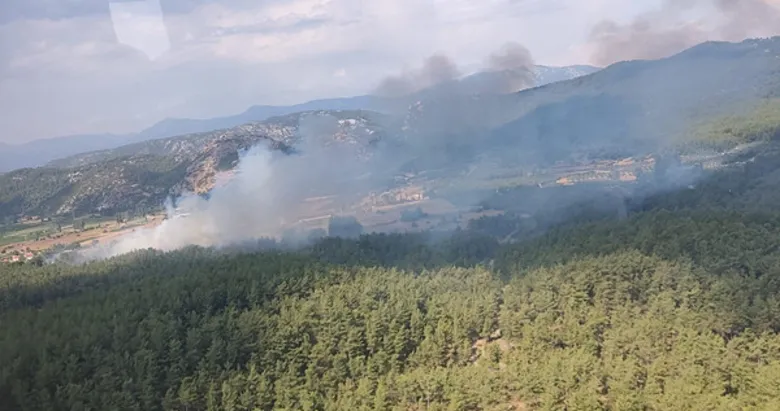 Muğla Menteşe’de orman yangını