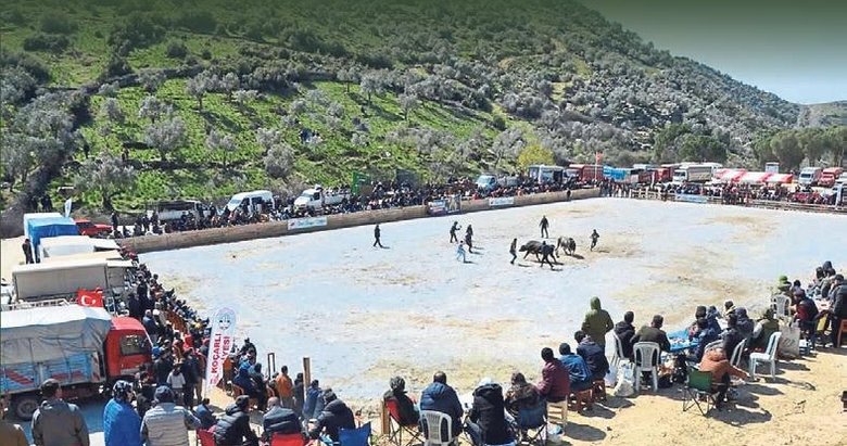 Yılın ilk boğa güreşi Koçarlı’da yapıldı