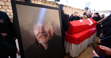 Tarihi çınara veda