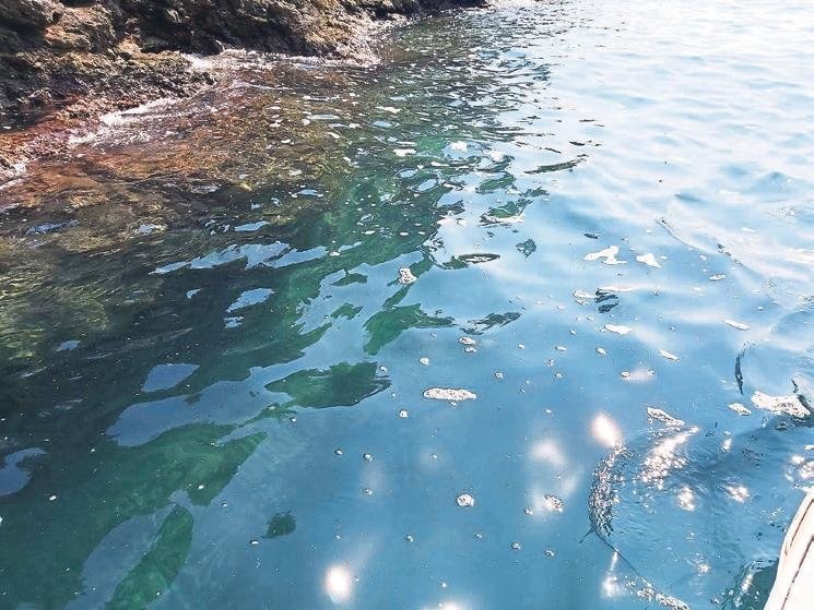 Ölüdeniz’de doğa katliamına devam