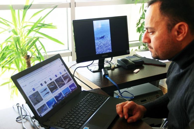 Köpek balığı kıyıya kadar geldi! Görüntü Muğla’dan