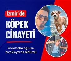 İzmir’de köpek cinayeti