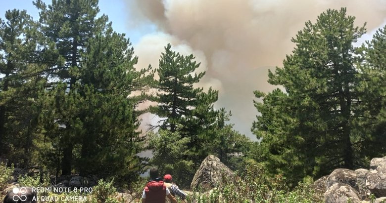 Son dakika: Kütahya’da orman yangını çıktı