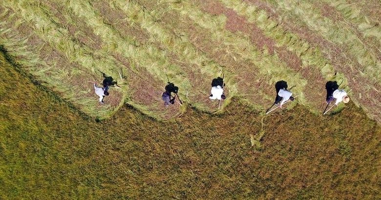 Çiftçilere 3,3 milyar lira destek ödemesi yapılacak