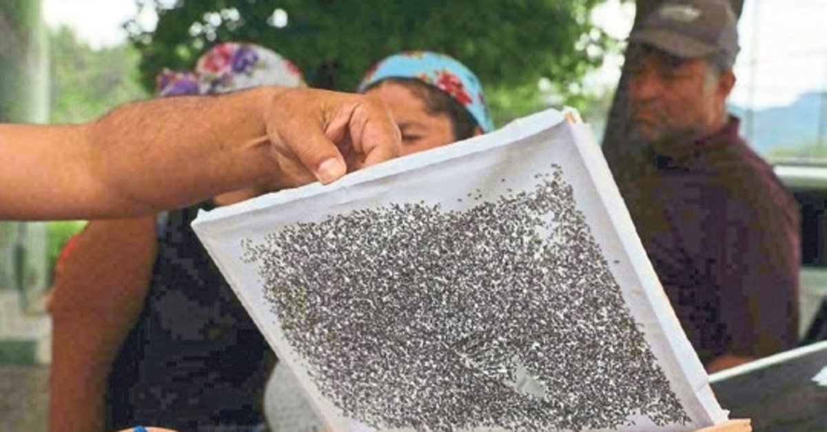 Kırsal kalkınmaya ipek dokunuş