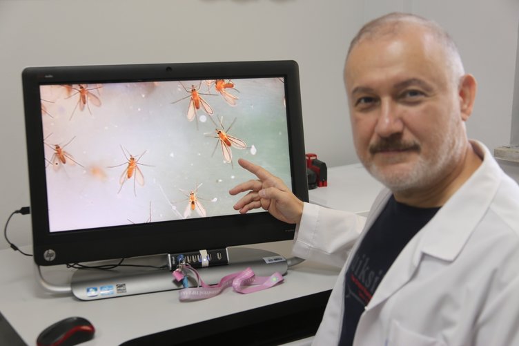 Manisa hastalık riskiyle karşı karşıya! Ölümcül olabilir