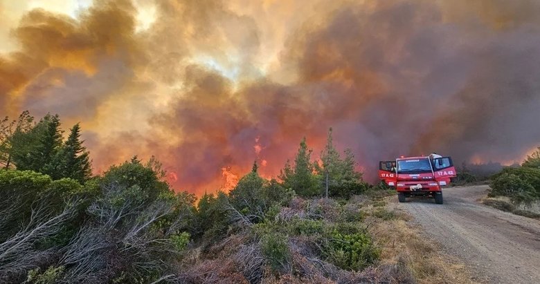 Çanakkale Eceabatt’ta orman yangını! 57. Alay Şehitliği ile Conkbayırı ziyarete kapatıldı