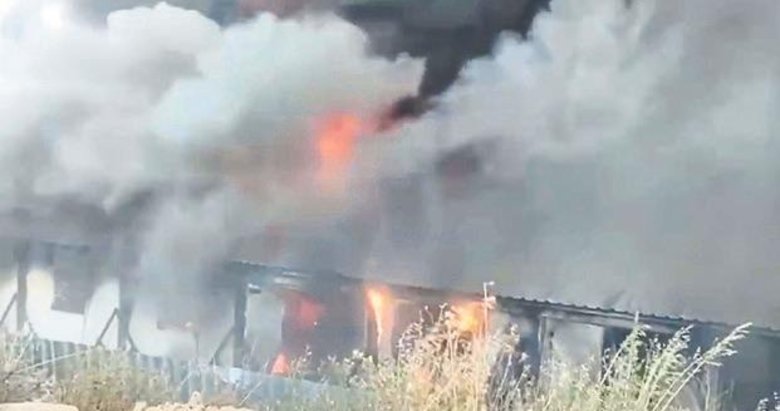 Bodrum’da 30’a yakın konteyner zarar gördü