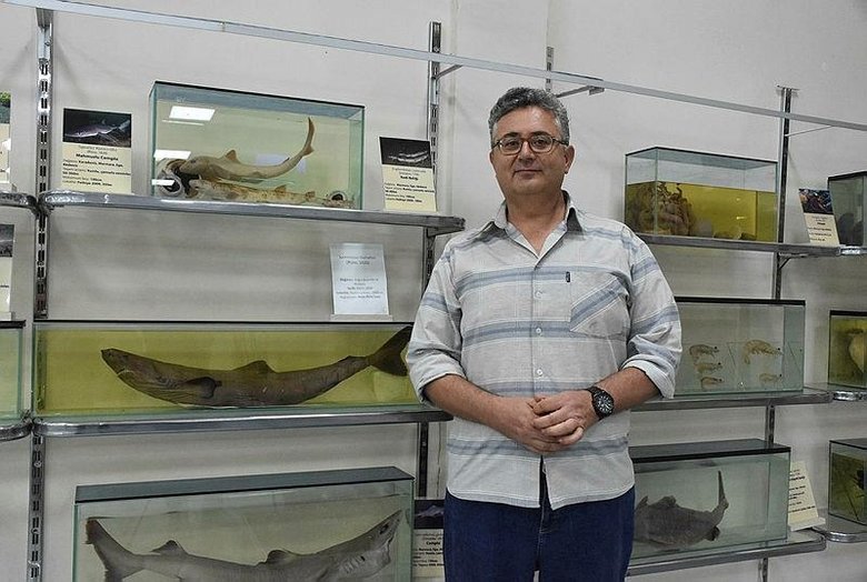 Ege ve Akdeniz’de köpek balığı sayısında artış var mı? Uzman isim açıkladı