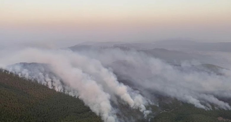 Milas'taki yangında 2. gün! İşte son durum... - Muğla ...
