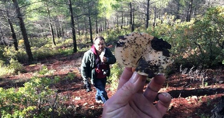 Fakirin eti ’çıntar’ için ormana akın başladı