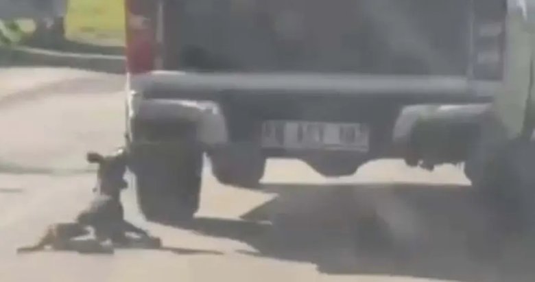 Köpeği araçla sürükleyerek öldürmüştü: O vicdansız tutuklandı!