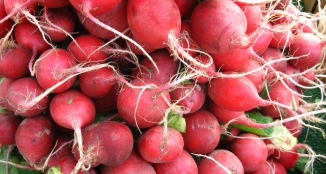 Sağlığınız için doğal bir mucize! Turpu nasıl tüketmeliyiz?