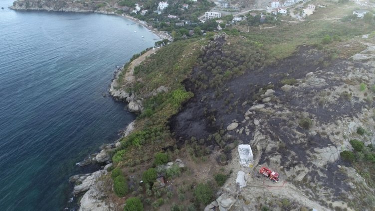 Marmara Adası’ndaki orman yangınında 80 hektar kül oldu