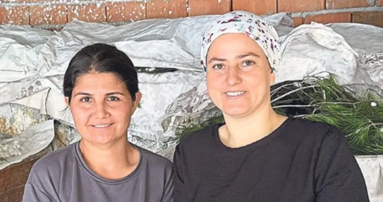 İpekten başarı