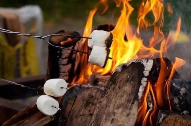 Marshmallow’un gizemi çözüldü: Tatlı bir bitkiden geliyor