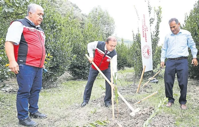 Anadolu’nun kekiği Denizli’den yükseliyor