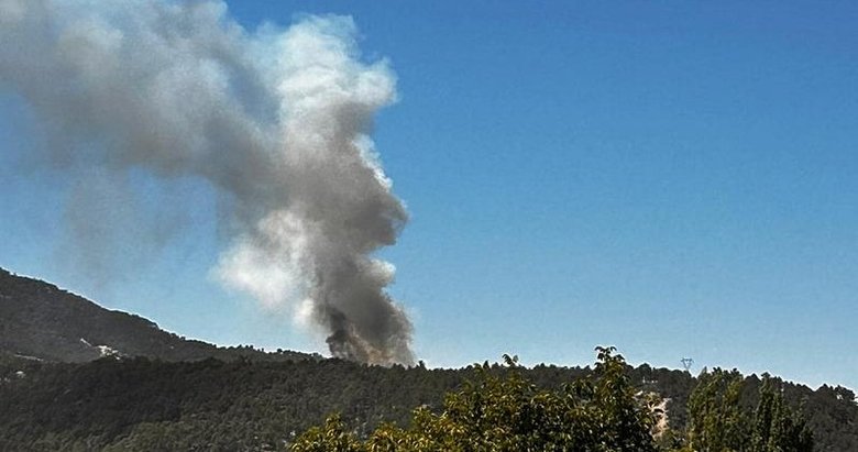 Son dakika: Denizli’de orman yangını