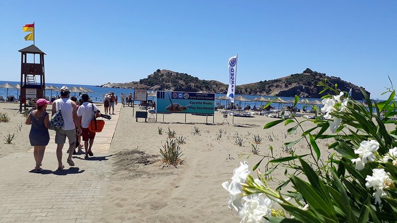 Muğla’daki kum zambaklarıyla ünlü halk plajına Caretta Dostu Plaj unvanı verildi