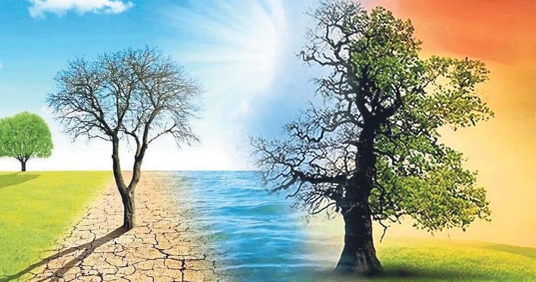 Karbon vergisine yerli çözüm