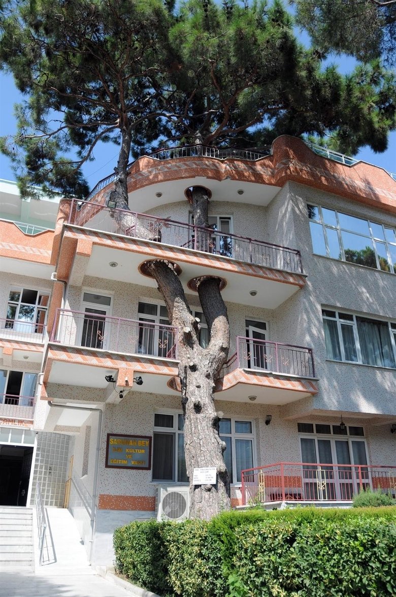 manisadaki-bu-evin-baska-ornegi-yok-bakan-donup-bir-kez-daha-bakiyor-1781299803746.jpeg