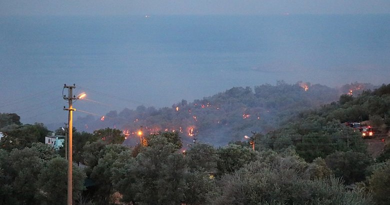 Son dakika: İzmir Dikili’deki yangın kontrol altına alındı