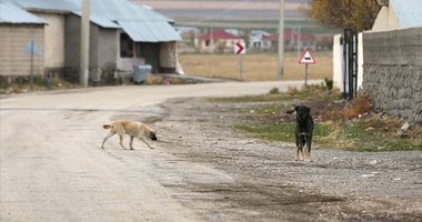 Uşak Valiliği’nden o iddialara açıklama