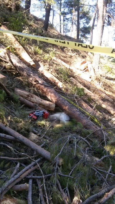 Denizli’de korkunç ölüm! Kestiği ağacın altında kaldı cesedi 4 gün sonra bulundu