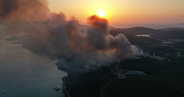 Milas'taki 80 hektarlık ormanlık alan zarar gördü! İşte yürek yakan görüntü