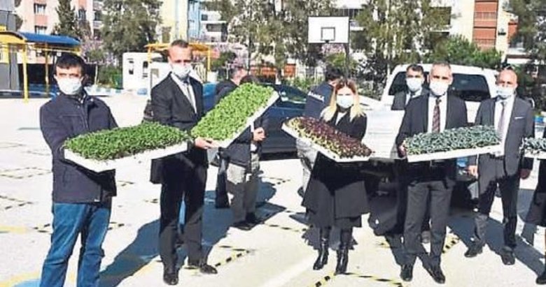 Okul bahçesinde sera ile tarım üretimi