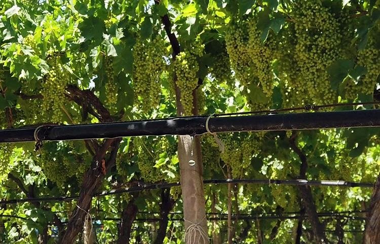 Ön ödemeli sayaç tarımsal sulamada verimliliği artıracak