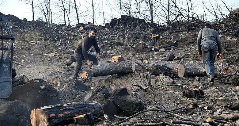 Bodrum ve Milas’ta yanan sahalar temizleniyor