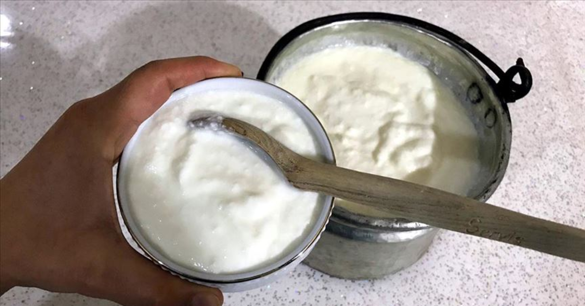 Marketten almaya son! Evde taş gibi yoğurt yapmak artık mümkün: Kimsenin bilmediği 3 gizli püf noktası!