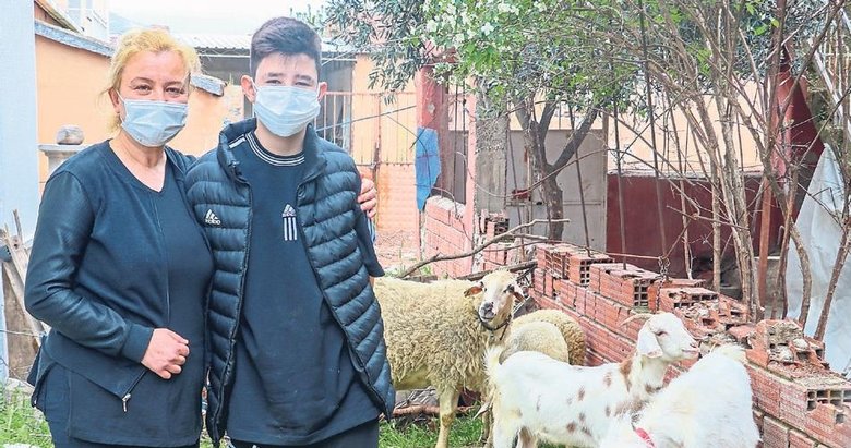 Enkazdan kurtuldu doğayla buluştu