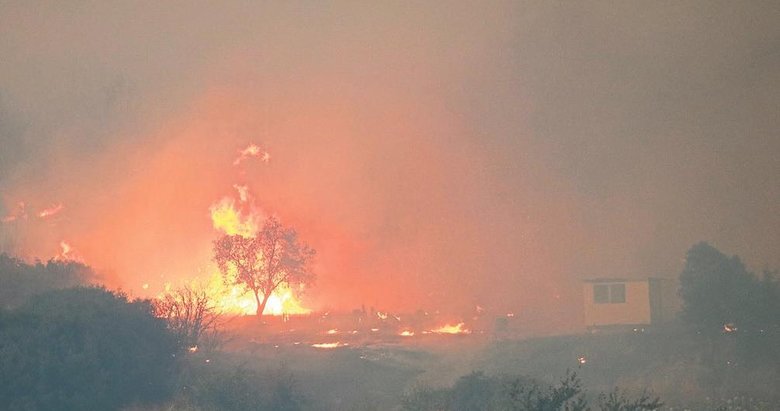 Çanakkale’de yine orman yangını