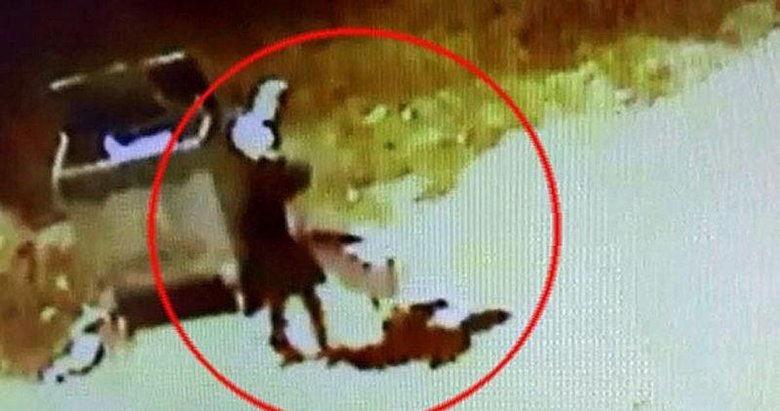 Denizli’de çocuğu ısıran pitbullun sahibine 12 bin lira ceza